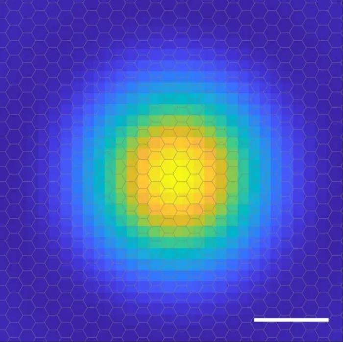 Ein Jahrhundert nach seiner Entdeckung haben Menschen zum ersten Mal das Bild der Elektronenbahn von Exzitonen aufgenommen